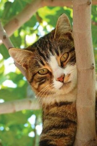 Cover of Notebook - Cat Climbing Tree