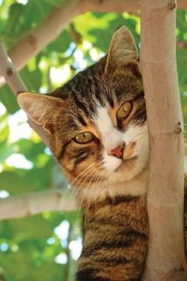 Book cover for Notebook - Cat Climbing Tree