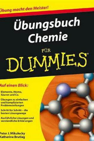 Cover of Ubungsbuch Chemie Fur Dummies