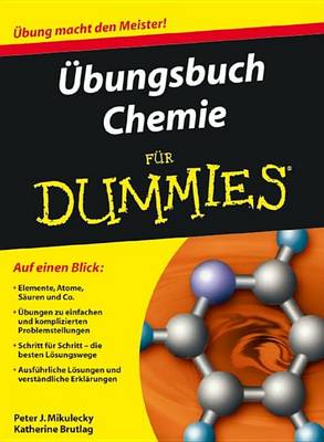 Book cover for Ubungsbuch Chemie Fur Dummies