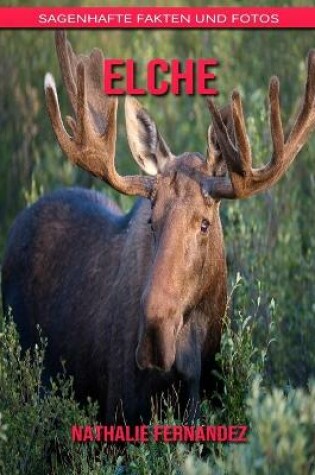 Cover of Elche