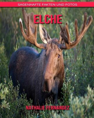 Book cover for Elche