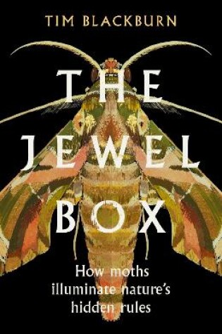 Cover of The Jewel Box