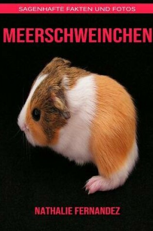 Cover of Meerschweinchen