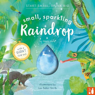 Cover of Small, Sparkling Raindrop