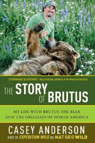 Cover of The Story of Brutus