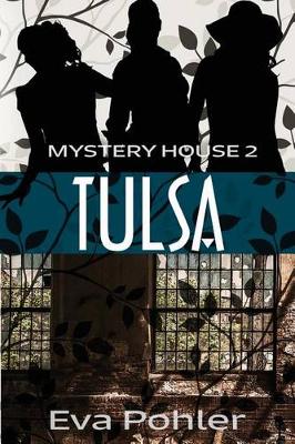 Book cover for The Mystery House 2