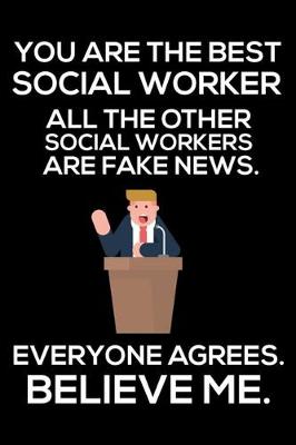 Book cover for You Are The Best Social Worker All The Other Social Workers Are Fake News. Everyone Agrees. Believe Me.