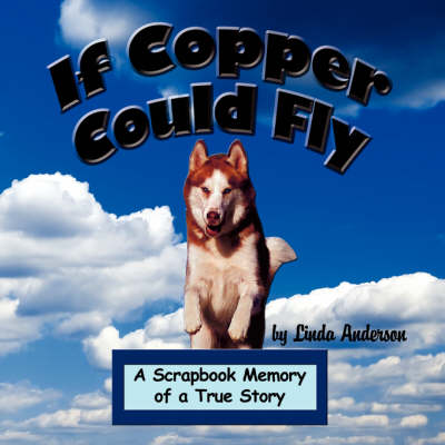 Book cover for If Copper Could Fly