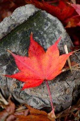 Book cover for A Lovely Red Autumn Leaf Journal