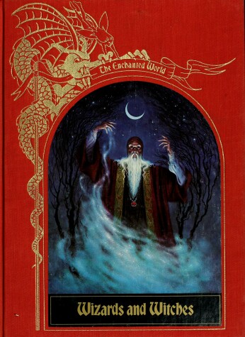 Cover of Wizards and Witches