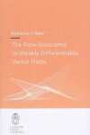 Book cover for The Flow Associated to Weakly Differentiable Vector Fields