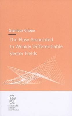 Cover of The Flow Associated to Weakly Differentiable Vector Fields