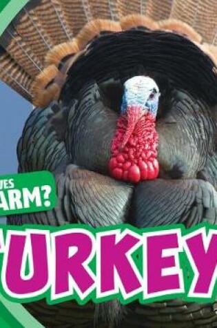 Cover of Turkeys