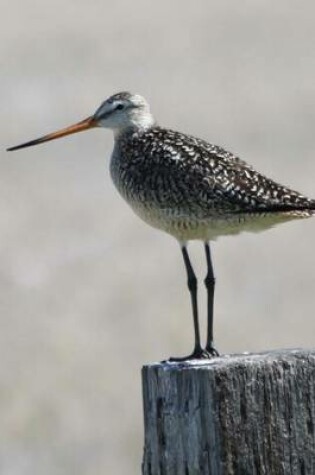 Cover of Marbled Godwit Bird Journal