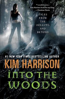 Book cover for Into the Woods