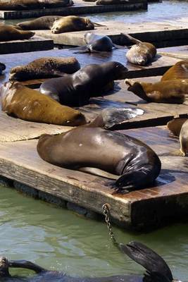 Book cover for Harbor Seals on the Dock in San Francisco, California