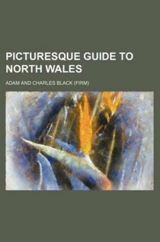 Cover of Picturesque Guide to North Wales