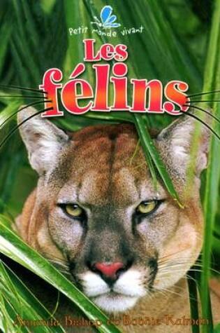 Cover of Les Filins