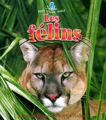 Cover of Les Filins