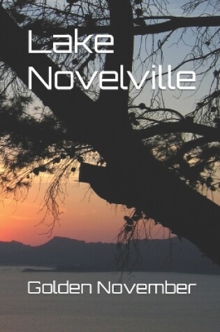 Cover of Lake Novelville