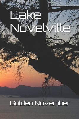 Book cover for Lake Novelville