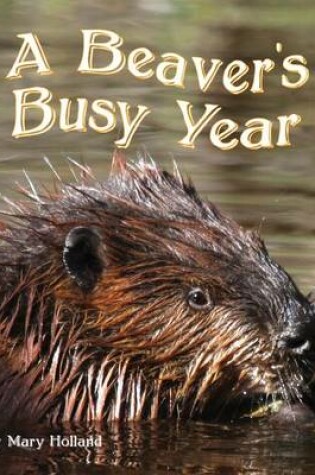 Cover of The Beavers' Busy Year