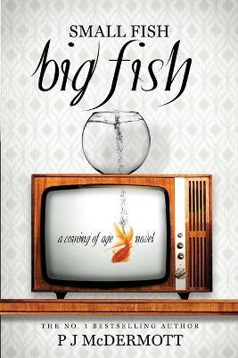 Book cover for Small Fish Big Fish