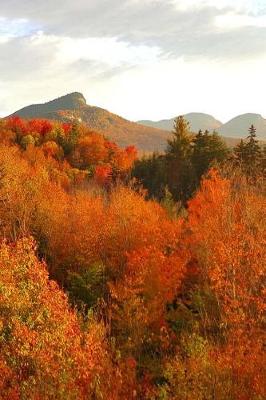 Book cover for Fall 2019 Daily Planner Beautiful Mountain Scene 384 Pages