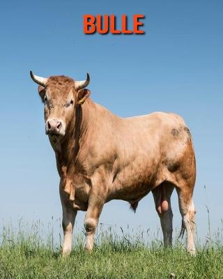 Book cover for Bulle