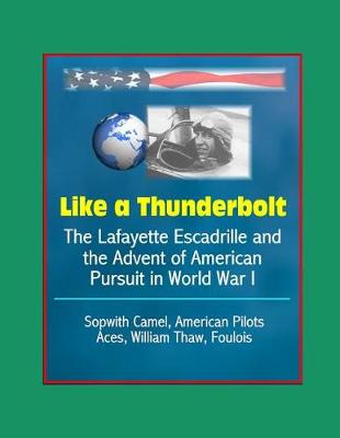 Book cover for Like a Thunderbolt