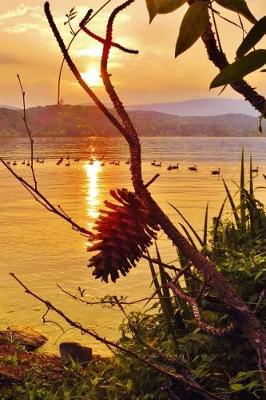 Cover of Pretty Blank Lined Journal for daily thoughts notebook Pinecone Sunset Lovely Lake Arrowhead Photograph