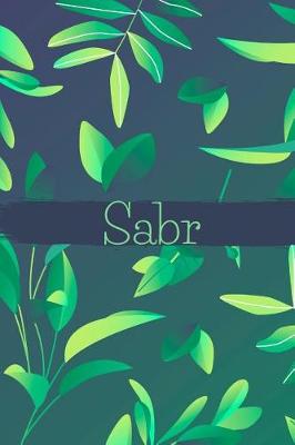 Book cover for Sabr