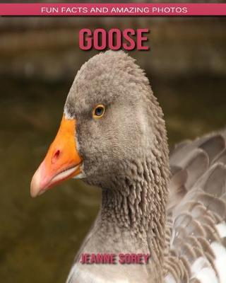 Book cover for Goose