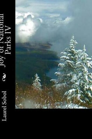 Cover of Joy of National Parks IV