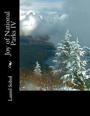 Book cover for Joy of National Parks IV