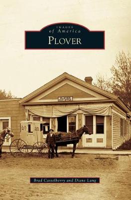 Book cover for Plover