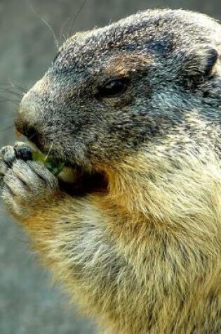 Cover of Portrait of an Alpine Marmot Eating a Snack Journal