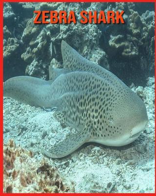 Book cover for Zebra Shark