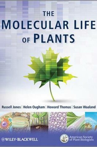 Cover of The Molecular Life of Plants