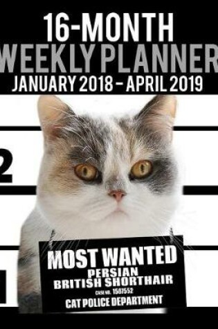 Cover of 2018-2019 Weekly Planner - Most Wanted Persian British Shorthair