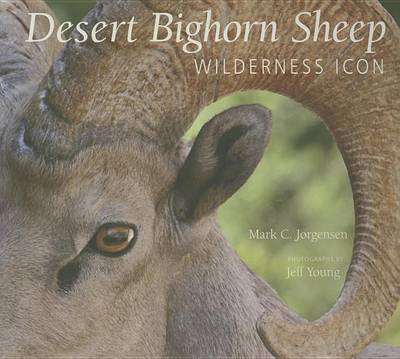 Book cover for The Desert Bighorn Sheep