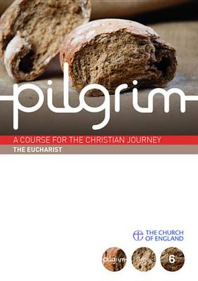 Book cover for Pilgrim