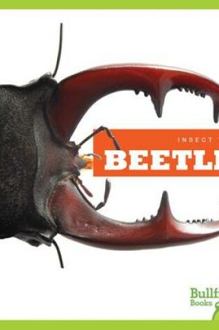 Cover of Beetles