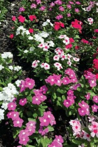 Cover of Beautiful Vinca Flower Bed in Spring, for the Love of Flowers