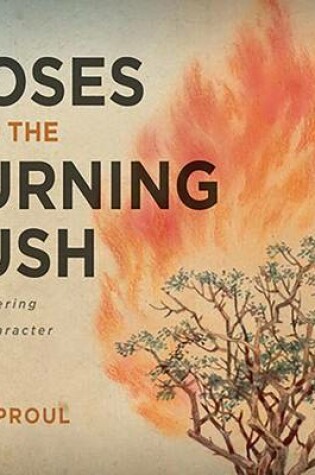 Cover of Moses and the Burning Bush Teaching Series