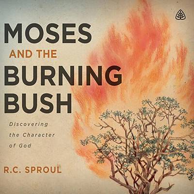 Book cover for Moses and the Burning Bush Teaching Series