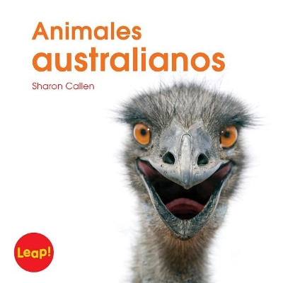 Book cover for Animales Australianos