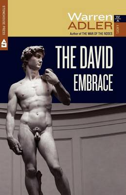 Book cover for The David Embrace