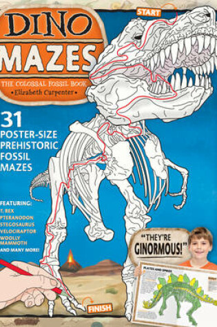 Cover of Dino Mazes the Colossal Fossil Book